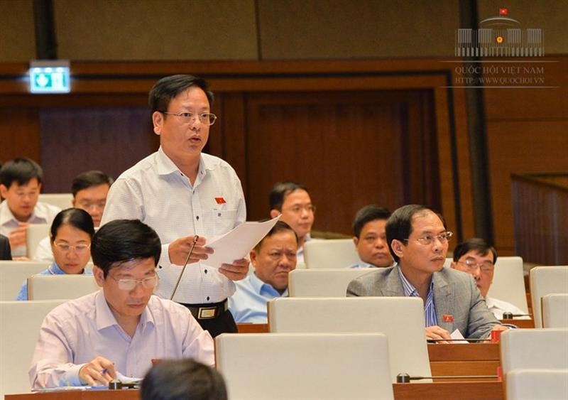 Cân nhắc mô hình tổ chức của cơ quan kiểm ngư